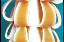 carved candles 003