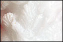 moulded candles 001